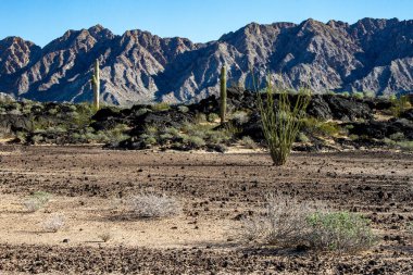 Landscape of the Pinacate volcano and the Altar desert. Sonora, Mexico. clipart