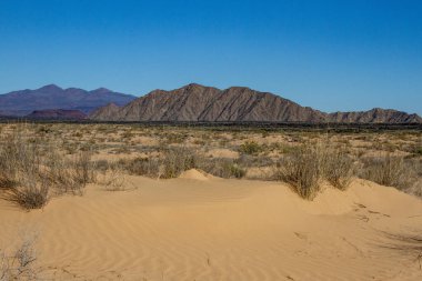 Landscape of the Pinacate volcano and the Altar desert. Sonora, Mexico.