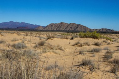 Landscape of the Pinacate volcano and the Altar desert. Sonora, Mexico.