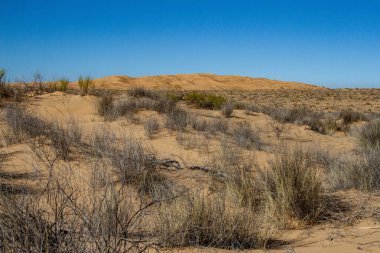 Landscape of the Pinacate volcano and the Altar desert. Sonora, Mexico.