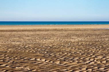 Puerto Penasco, Sonora, Meksika 'da bakir bir sahil manzarası..