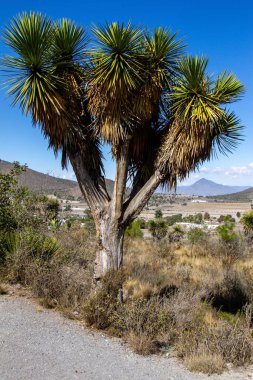 Teziutlan, Puebla, Meksika; 12: 22 2022; Teziutln 'de Carmen Hanımefendimizin Sığınağı.