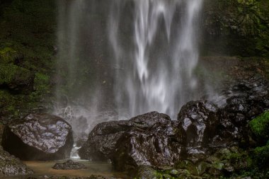 Puxtla şelalesinin alt kısmı. Puebla, Meksika.