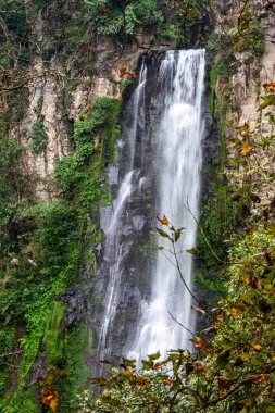 Puxtla Şelalesinin sonbahar mevsiminde ormandaki manzarası. 