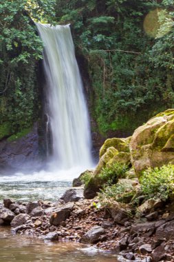 La Rpida waterfall in a dense forest, Tlatlauquitepec, Puebla, Mxico. clipart