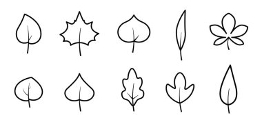 Çeşitli yaprak şekillerinin yer aldığı basit bir çizgi sanat yaprağı ikonu koleksiyonu. Botanik ve doğa temalı tasarımlar için ideal.