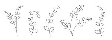 Eğri yapraklı bitkilerin yer aldığı minimalist çizgilerin toplanması, beyaz arkaplandaki botanik zarafetin vurgulanması.