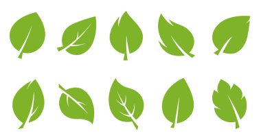 Doğayı, ekolojiyi ve çevresel temaları sembolize eden, farklı şekil ve stillerde yeşil yaprak ikonları koleksiyonu.