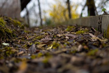 Her şey uyanmadan önce 