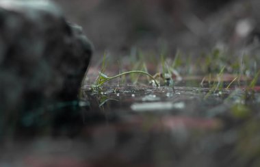 Görkemli huzur ve sükunet 