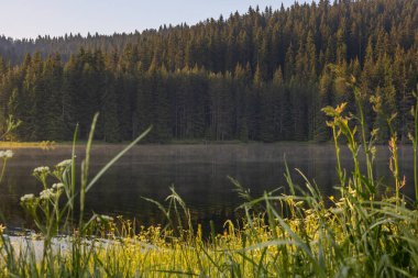 Burası sadece cennet. 