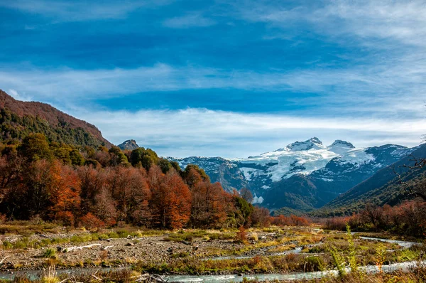 秋天覆盖着雪的Cerro Tronador和Patagonian安第斯森林景观 — 图库照片