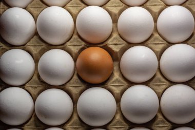 Ortasında kahverengi yumurta olan beyaz yumurtalarla dolu bir mukavva.