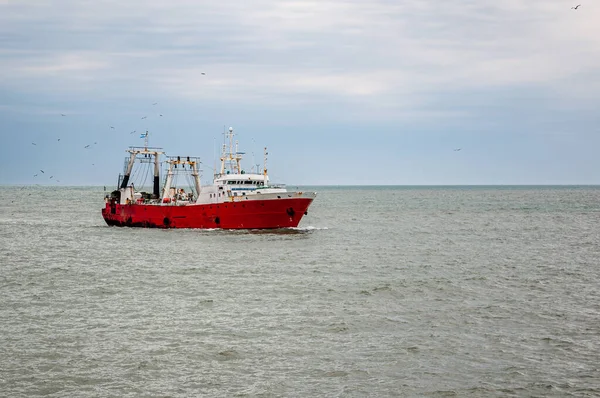 Navire Pêche Chalutier Merlu Congélateur Usine Une Capacité Charge 1326 — Photo