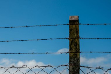 Arka planda mavi gökyüzü olan dikenli teller.