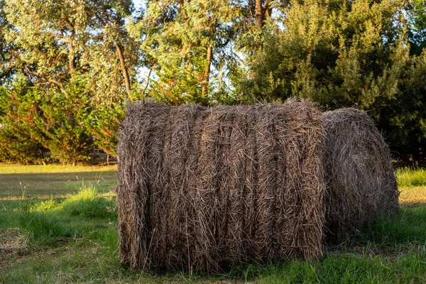 Velké Kulaté Slámové Balíky Poli — Stock fotografie