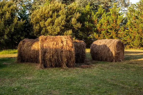 Large Straw Bales Field — Stock Photo, Image
