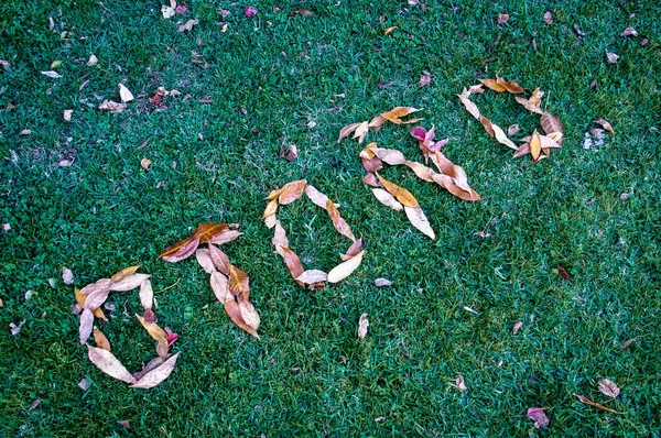 Осень Написана Испанском Языке Сухими Листьями Траве — стоковое фото