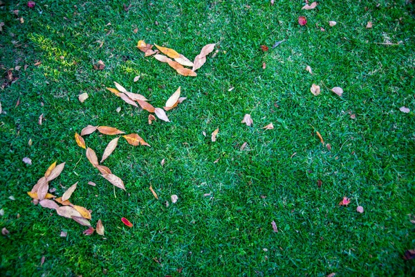 Jesień Napisana Suchymi Liśćmi Trawie — Zdjęcie stockowe