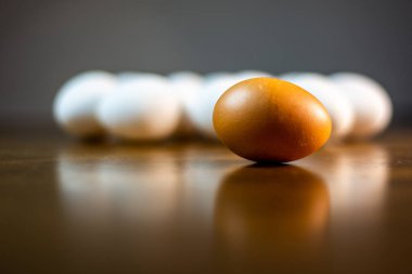 Bir kahverengi tavuk yumurtası ahşap bir masada, beyaz yumurtalar yayılmış arka plan olarak.