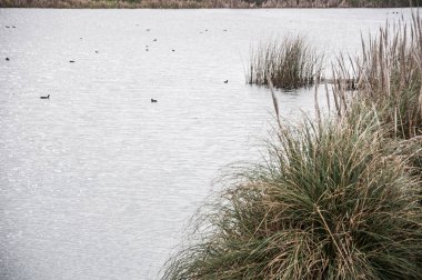 Güzel bir göl manzarası.