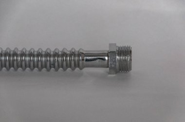 beyaz arkaplanda vida