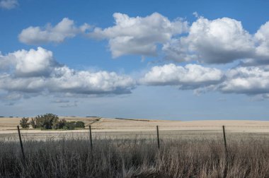 Bir tarım alanının görünümü