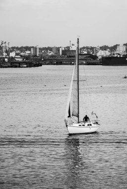 Mar del Plata limanına yelken açan bir yelkenli.