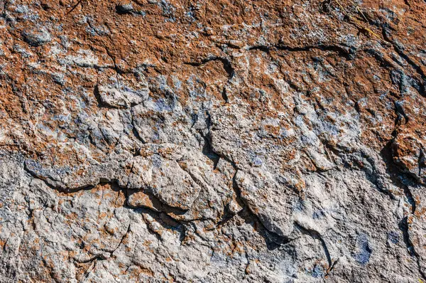 Каменная Поверхность Размыта Морем Скальное Образование Является Частью Массива Тандилия — стоковое фото