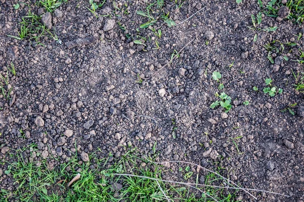 Soil Texture Ground Soil Background — Stock Photo, Image