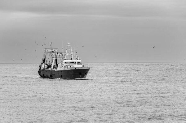 Trwler fishing vessel, hake, freezer, factory, with a carrying capacity of 1326 t DWT, sailing in the Atlantic Ocean.