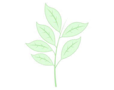 Yaprak Bitkisi Düz Vektör Simgesi
