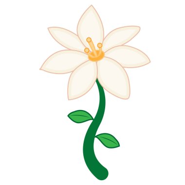 Lilium Çiçeği, düz vektör çizimi