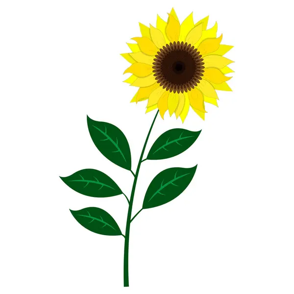 Ayçiçeği klasik parlak düz simgesi