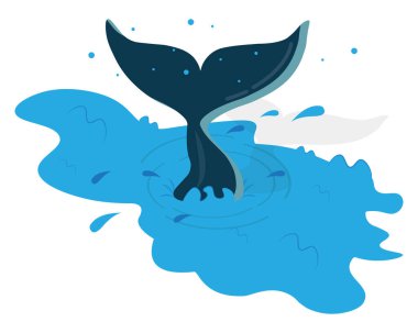 Okyanusun Dışında Balina Köpekbalığı Hikayesi