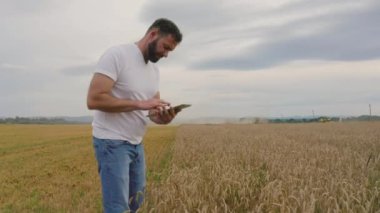 Buğday tarlasında tablet bilgisayarlı erkek çiftçi yürür ve buğday kalitesini kontrol eder..