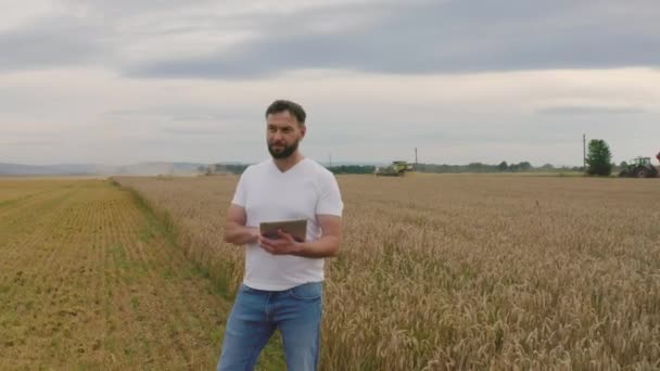 拥有平板电脑的男性农民在小麦田里行走 检查小麦品质 做好工作 — 图库视频影像