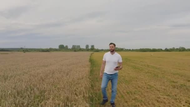 Agricultor Masculino Com Computador Tablet Campo Trigo Andando Verificando Qualidade — Vídeo de Stock