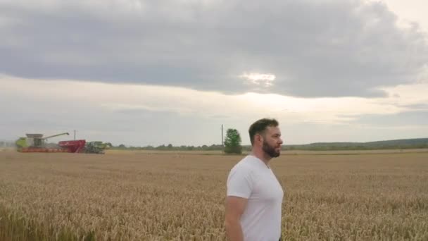 Чоловік Фермер Планшетним Комп Ютером Полі Пшениці Йде Перевіряє Якість — стокове відео