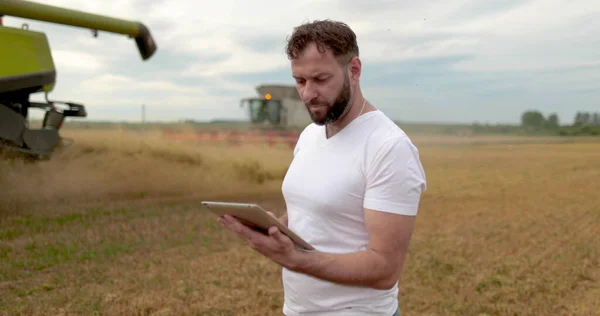 Agriculture. An agronomist stands with a tablet in a wheat field, a combine works in the background. A combine harvester harvests wheat in a farmer\'s field.