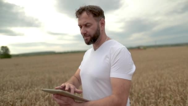 Mezőgazdaság Egy Agronómus Áll Egy Táblával Búzamezőn Egy Kombájn Működik — Stock videók
