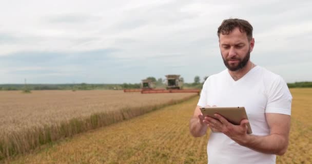 Agricultura Agrónomo Está Pie Con Una Tableta Campo Trigo Una — Vídeos de Stock