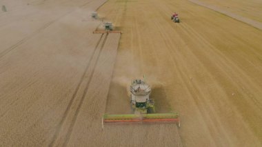 Buğday hasadı ve tarım makinelerinin hava görüntüsü. Hasat zamanı tarladaki makinelerin çalışması.