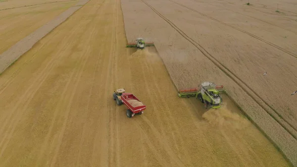 Luftaufnahme Eines Mähdreschers Und Landwirtschaftlicher Maschinen Bei Der Weizenernte Die — Stockfoto