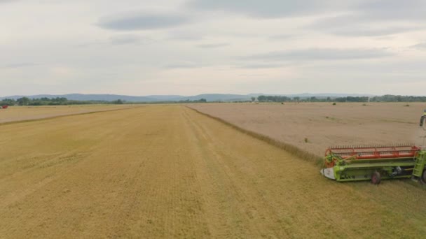 コンバインハーベスターと農業機械が小麦を収穫する空中ビュー 収穫の間にフィールド内の機械の仕事 — ストック動画