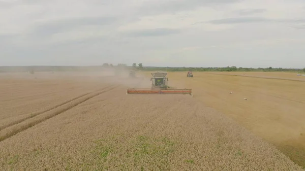 Vista Aérea Una Cosechadora Combinada Maquinaria Agrícola Cosechando Trigo Trabajo —  Fotos de Stock