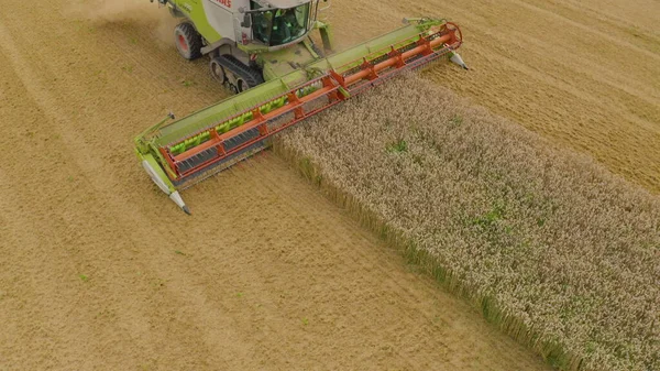 コンバインハーベスターと農業機械が小麦を収穫する空中ビュー 収穫の間にフィールド内の機械の仕事 — ストック写真