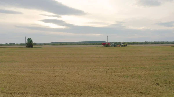 コンバインハーベスターと農業機械が小麦を収穫する空中ビュー 収穫の間にフィールド内の機械の仕事 — ストック写真