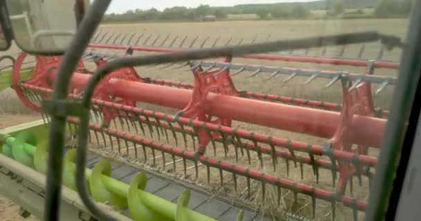 从联合收割机的舱内观看 在阳光充足的夏天收割成熟的小麦 联合收割机的工作 切割尖峰的特写 — 图库视频影像