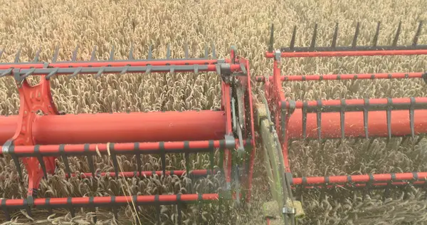 从联合收割机的舱内观看 在阳光充足的夏天收割成熟的小麦 联合收割机的工作 切割尖峰的特写 — 图库照片